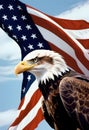 a bald eagle with an american flag in the background Royalty Free Stock Photo