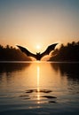 a bat flying over a lake with the sun setting behind it Royalty Free Stock Photo