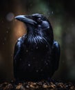 AI generated black crow perched on the ground in a wet and rainy environment