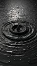 AI generated black and white image of water ripples Royalty Free Stock Photo