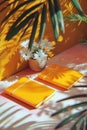 Books with a plant and shadows on a sunny surface.