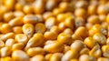 AI-generated Golden Corn Kernels Macro Royalty Free Stock Photo