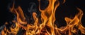 A bunch of fire flames on a black background. Royalty Free Stock Photo