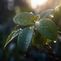 AI generated bush with vibrant green leaves Royalty Free Stock Photo