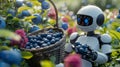 AI Generated. Charming android robot collects blueberries in a large wicker basket.