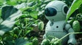 AI Generated. A charming, compact white robot farmer harvests ripe green cucumbers.