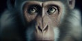 Mysterious Macaque - Dark, Cinematic, Made with Generative AI