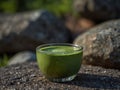 Close-up of a cup of matcha tea on a rock. Royalty Free Stock Photo