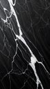 Black marble texture with white veins luxury stone background Royalty Free Stock Photo