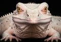 Close-up of an incredibly detailed albino lizard created with Generative AI technology.