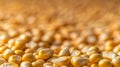 AI-generated Golden Corn Kernels Macro Shot Royalty Free Stock Photo