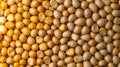 AI-generated Golden Corn Kernels Background Royalty Free Stock Photo