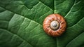 AI-generated Snail Shell on Green Leaf Royalty Free Stock Photo