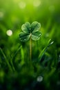 AI generated clover flower surrounded by lush green grass Royalty Free Stock Photo