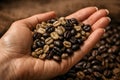 Human Hand Holding Mixed Roasted And Green Coffee Beans Showing Origin And Craft Royalty Free Stock Photo