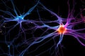 Neuronal learning, 3d neurons, neural brain cognitive abilities, Neurons in the brain fire in synchrony, deep concentration focus