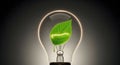 Bright Idea for Sustainable Energy: Eco-friendly Light Bulb with Glowing Green Leaf Royalty Free Stock Photo