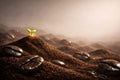Coffee Bean Seedling Growing From Soil Representing Growth Sustainability And New Beginnings Royalty Free Stock Photo