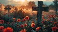 A cross in a poppy field at dusk, symbolizing remembrance. Royalty Free Stock Photo