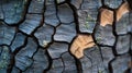 AI-generated Charred Tree Bark Texture Close Up Macro Royalty Free Stock Photo