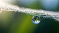 AI-generated dew drop on spider web with green background Royalty Free Stock Photo