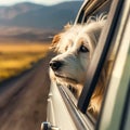 ai generated dog travels in a car Royalty Free Stock Photo