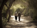 AI generated elderly couple is taking a leisurely stroll in park