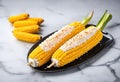 elote, mexican grilled corn on cob on marble background