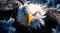 AI Generated Winged Elegance A Close-Up of an Eagle?s Intricate Feathers and Plumage
