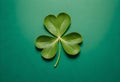 four leaf clover on green background Royalty Free Stock Photo