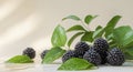 Fresh Group of Blackberries with Green Leaves on Light Background for Upscale Presentation Royalty Free Stock Photo