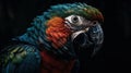 AI Generated. Generative AI. Realistic Parrot bird. Can be used for decoration. Graphic Art Illustration