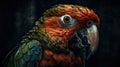 AI Generated. Generative AI. Realistic Parrot bird. Can be used for decoration. Graphic Art Illustration