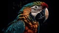 AI Generated. Generative AI. Realistic Parrot bird. Can be used for decoration. Graphic Art Illustration