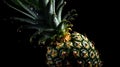 AI Generated. Generative AI. Realistic pineapple set. Can be used for decocation. Monochrome Illustration Royalty Free Stock Photo