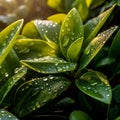 AI generated green shrub leaves with water drops