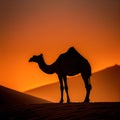 Silhouette of camel, Made with Generative AI