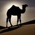 Silhouette of camel, Made with Generative AI