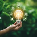 AI Generated Hand Holding Glowing Lightbulb Surrounded by Ecological Symbols Royalty Free Stock Photo