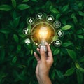 AI Generated Hand Holding Glowing Lightbulb Surrounded by Ecological Symbols Royalty Free Stock Photo