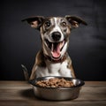 A happy Greyhound dog puppy eagerly eating its kibble from a bowl by AI generated Royalty Free Stock Photo