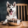 A happy husky puppy eagerly eating its kibble from a bowl by AI generated