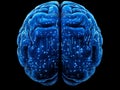 Digital rendering of a glowing blue human brain with intricate circuitry emphasizing technological integration advanced artific