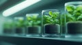 AI-generated Hydroponic Seedlings Growing in Clear Jars Under Artificial Light Royalty Free Stock Photo