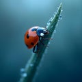 AI generated hyperrealistic ladybug perched on grass blade Royalty Free Stock Photo