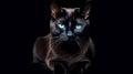 AI generated illustration of an adorable black cat looking into the camera with intense blue eyes Royalty Free Stock Photo