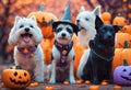 AI generated illustration of adorable dogs in Halloween costumes surrounded by carved pumpkins