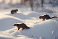 AI generated illustration of adorable furry creatures frolic in a picturesque snowy landscape