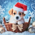 puppy in a hat sitting in a basket with christmas ornaments
