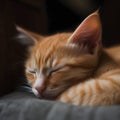 AI generated illustration of an adorable orange cat sleeping on a soft surface